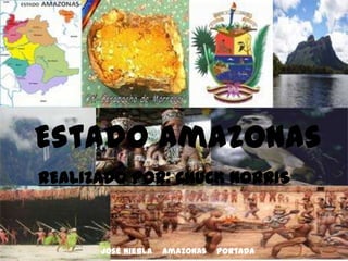 José Niebla    Amazonas    Portada Realizado por: Chuck Norris Estado Amazonas 