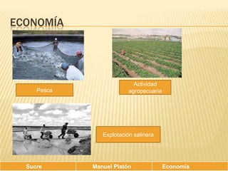 ECONOMÍAActividad agropecuariaPescaExplotación salinera