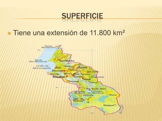 SuperficieTiene una extensión de 11.800 km²