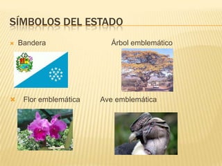 Símbolos del estadoBandera                                Árbol emblemático Flor emblemática          Ave emblemática                                                                                                                                                           