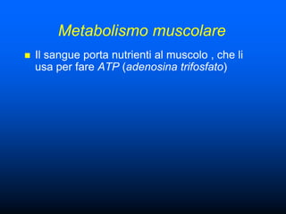 Metabolismo muscolare
   Il sangue porta nutrienti al muscolo , che li
    usa per fare ATP (adenosina trifosfato)
 