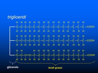 trigliceridi
       H    H H   H   H   H   H   H   H   H      H   H   H   H   H
      ~C—C—C—C—C —C —C —C —C —C —C —C —C —C —C —COOH
       H    H H   H   H   H   H   H   H   H      H   H   H   H   H

       H    H H   H   H   H   H   H   H   H      H   H   H   H   H
      ~C—C—C—C—C —C —C —C —C —C —C —C —C —C —C —COOH
       H    H H   H   H   H   H   H   H   H      H   H   H   H   H

       H    H         H   H   H   H   H   H      H   H   H   H   H
      ~C—C—C==C—C —C —C —C —C —C —C —C —C —C —C —COOH
       H    H H   H   H   H   H   H   H   H      H   H   H   H   H


glicerolo                         Acidi grassi
 