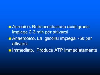  Aerobico. Beta ossidazione acidi grassi
  impiega 2-3 min per attivarsi
 Anaerobico. La glicolisi impiega ~5s per
  attivarsi
 Immediato. Produce ATP immediatamente
 