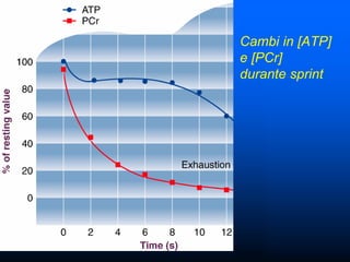 Cambi in [ATP]
e [PCr]
durante sprint
 