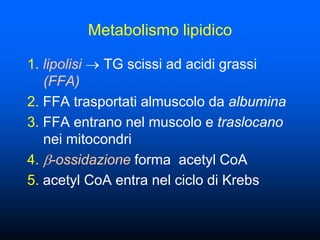 Metabolismo lipidico

1. lipolisi TG scissi ad acidi grassi
   (FFA)
2. FFA trasportati almuscolo da albumina
3. FFA entrano nel muscolo e traslocano
   nei mitocondri
4. -ossidazione forma acetyl CoA
5. acetyl CoA entra nel ciclo di Krebs
 