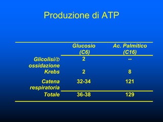Produzione di ATP


                Glucosio   Ac. Palmitico
                  (C6)         (C16)
  Glicolisi/b      2             --
ossidazione
      Krebs        2            8
    Catena       32-34         121
respiratoria
     Totale      36-38         129
 