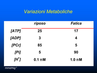 Variazioni Metaboliche

                    riposo           Fatica
    [ATP]             25                 17
   [ADP]              3                  4
    [PCr]             85                 5
       [Pi]           5                  90
            +
      [H ]          0.1 mM          1.0 mM

mmol•kg-1
 