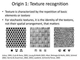 Stochastic Repetition Algorithm bag-of-words models | PDF