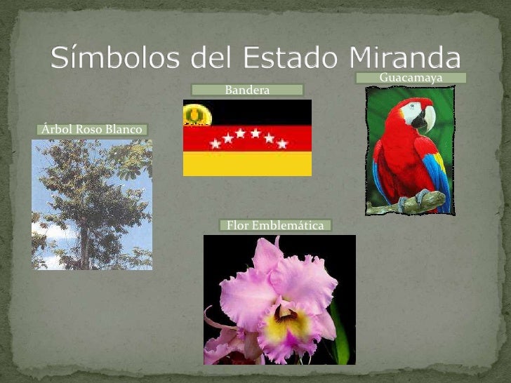 9b Richard Rodrigues Miranda 9b-richard-rodrigues-miranda