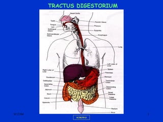 9/12/04 1
SUBOWO
TRACTUS DIGESTORIUM
 