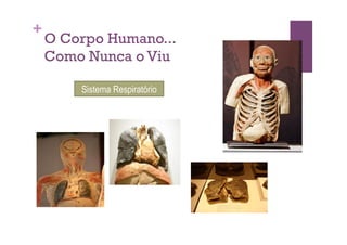 +
    O Corpo Humano...
    Como Nunca o Viu

        Sistema Respiratório
 