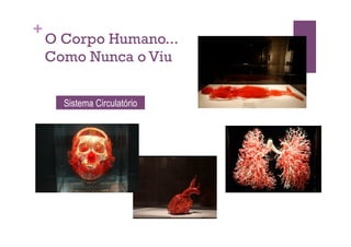 +
    O Corpo Humano...
    Como Nunca o Viu


      Sistema Circulatório
 
