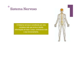 +
    Sistema Nervoso



         O Sistema nervoso é constituído por uma
            complexa rede que envia e recebe
      informações de todo o corpo, controlando todo
                  o seu funcionamento.
 