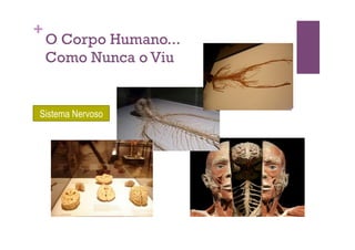 +
    O Corpo Humano...
    Como Nunca o Viu


Sistema Nervoso
 