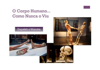 O Corpo Humano...
Como Nunca o Viu


  Esqueleto e Músculos
 