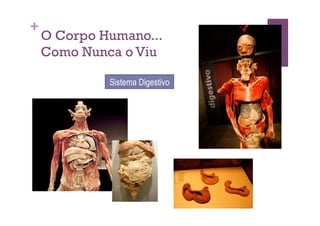 +
    O Corpo Humano...
    Como Nunca o Viu

             Sistema Digestivo
 