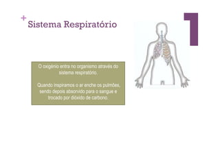 +
    Sistema Respiratório



      O oxigénio entra no organismo através do
                sistema respiratório.

      Quando inspiramos o ar enche os pulmões,
       sendo depois absorvido para o sangue e
           trocado por dióxido de carbono.
 