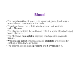 Blood
• The main function of blood is to transport gases, food, waste
materials and hormones in the body.
• Therefore, blood has a fluid Matrix present in it which is
called Plasma.
• The plasma contains the red blood cells, the white blood cells and
blood platelets.
• The RBC have hemoglobin pigment which carries oxygen to
tissues.
• White blood cells fight diseases and platelets are involved in
clotting of blood when injured.
• The plasma also contains proteins and hormones in it.
 