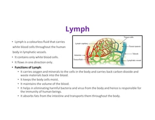 Lymph
• Lymph is a colourless fluid that carries
white blood cells throughout the human
body in lymphatic vessels.
• It contains only white blood cells.
• It flows in one direction only.
• Functions of Lymph:
• It carries oxygen and minerals to the cells in the body and carries back carbon dioxide and
waste materials back into the blood.
• It keeps the body cells moist.
• It maintains the volume of the blood.
• It helps in eliminating harmful bacteria and virus from the body and hence is responsible for
the immunity of human beings.
• It absorbs fats from the intestine and transports them throughout the body.
 