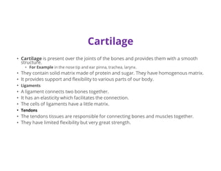 Cartilage
• Cartilage is present over the joints of the bones and provides them with a smooth
structure.
• For Example in the nose tip and ear pinna, trachea, larynx.
• They contain solid matrix made of protein and sugar. They have homogenous matrix.
• It provides support and flexibility to various parts of our body.
• Ligaments
• A ligament connects two bones together.
• It has an elasticity which facilitates the connection.
• The cells of ligaments have a little matrix.
• Tendons
• The tendons tissues are responsible for connecting bones and muscles together.
• They have limited flexibility but very great strength.
 