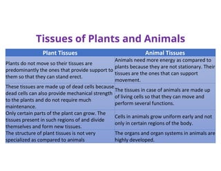 Tissues of Plants and Animals
Animal Tissues
Plant Tissues
Animals need more energy as compared to
plants because they are not stationary. Their
tissues are the ones that can support
movement.
Plants do not move so their tissues are
predominantly the ones that provide support to
them so that they can stand erect.
The tissues in case of animals are made up
of living cells so that they can move and
perform several functions.
These tissues are made up of dead cells because
dead cells can also provide mechanical strength
to the plants and do not require much
maintenance.
Cells in animals grow uniform early and not
only in certain regions of the body.
Only certain parts of the plant can grow. The
tissues present in such regions of and divide
themselves and form new tissues.
The organs and organ systems in animals are
highly developed.
The structure of plant tissues is not very
specialized as compared to animals
 