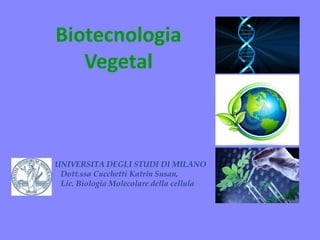 Biotecnologia
Vegetal
UNIVERSITA DEGLI STUDI DI MILANO
Dott.ssa Cucchetti Katrin Susan,
Lic. Biologia Molecolare della cellula
 