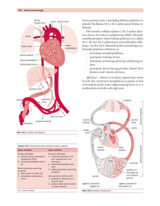 750	 Klinička anesteziologija
ži­vo­tu prom­jer aor­te i arterijskog duktusa prak­tič­no su
jed­na­ki. Na sli­ka­ma 44-1. i 44-2. pri­ka­za­na je fe­tal­na cir­
ku­la­ci­ja.
Od tre­nut­ka ro­đe­nja tijekom 2 do 3 tjed­na dje­te­
to­va ži­vo­ta, kr­vo­tok je u pri­je­laz­nom ob­li­ku. He­mo­di­
namič­ke prom­je­ne na­kon ro­đe­nja pri­ka­za­ne su u tab­li­ci
44-1. Na sli­ci 44-3. pri­ka­za­na je no­vo­ro­đe­nač­ka cir­ku­
la­ci­ja, a na sli­ci 44-4. she­mat­ski pri­kaz nor­mal­no­ga sr­ca.
Značajke pri­je­laz­ne cir­ku­la­ci­je su:
–– pos­to­ja­nje ar­te­rij­skog duktu­sa
–– pos­to­ja­nje oval­no­ga ot­vo­ra
–– pos­to­ja­nje po­vi­še­no­ga pluć­nog vas­ku­lar­nog ot­
po­ra
–– pos­to­ja­nje des­no-li­je­vog pre­to­ka (shu­nt) kroz
fo­ra­men ova­le i duc­tus ar­te­rio­sus.
Af­t er­load – od­no­si se na tlač­no op­te­re­će­nje, to­nus
kr­vnih ži­la, elas­tično­st, kom­plek­san je po­jam za ko­ji
u hr­vat­skom je­zi­ku nema odgovarajućeg izraza te se u
me­di­cin­skom r­ječ­ni­ku rabi engl. izraz.
lijeva
pretklijetka
plućne veneaorta
gornja
šuplja vena
pluća
ovalni otvor
desna pretklijetka
desna klijetka
donja šuplja vena
portalna vena
pupčana
vena
pupak
posteljica
pupčane arterije
silazna aorta
Sli­ka 44-1. Fe­tal­na cir­ku­la­ci­ja I.
Sli­ka 44-2. Fe­tal­na cir­ku­la­ci­ja II.
Tab­li­ca 44-1. He­mo­di­namič­ke prom­je­ne na­kon ro­đe­nja
Des­ni ven­tri­kul Li­je­vi ven­tri­kul
Sni­že­ni af­ter­load
1.	 sni­že­na pluć­na vas­ku­lar­na
re­zis­ten­ci­ja (PVR)
2.	 zat­va­ra­nje Bo­tal­lova duktu­
sa
Ma­lo po­ve­ća­nje vo­lum­nog
pu­nje­nja
1.	 66% od CO do 100% CO,
2.	 zat­va­ra­nje ova­lnog fo­ra­
me­na
Po­ve­ća­ni af­ter­load
1.	 nes­ta­nak pla­cen­te s nis­
kom vas­ku­lar­nom re­zi­­
stencijom
2.	 zat­va­ra­nje Bo­tal­lova duk­
tu­sa
3.	 Ve­li­ko po­ve­ća­nje vo­lum­nog
pu­nje­nja
34% od CO do 100% od CO
1.	 po­ve­ća­no vra­ća­nje kr­vi iz
pluć­nih ve­na
2.	 pro­laz­ni li­je­vo-des­ni duk­tal­
ni pre­tok (shu­nt)
CO – sr­ča­ni iz­ba­čaj
kapilara
plućna
vena
plućnacirkulacijasistemnacirklacija
lijeva
klijetka
desna
klijetka
kapilare za
tkiva gdje se
vrši izmijena
plinova
arteriola
ugljikovi dioksidom
bogata krv
venule
šuplja
vena
plućna
arterija
ugljikovi dioksidom
siromašna krv
aorta
trup
 