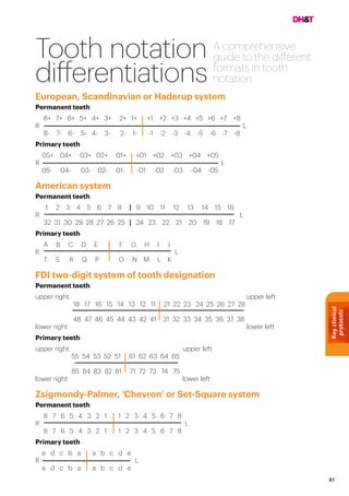 Keyclinical
protocols
61
Tooth notation
differentiations
A comprehensive
guide to the different
formats in tooth
notation
European, Scandinavian or Haderup system
Permanent teeth
8+ 7+ 6+ 5+ 4+ 3+ 2+ 1+ +1 +2 +3 +4 +5 +6 +7 +8
R 						 L
8- 7- 6- 5- 4- 3- 2- 1- -1 -2 -3 -4 -5 -6 -7 -8
Primary teeth
05+ 04+ 03+ 02+ 01+ +01 +02 +03 +04 +05
R 					 L
05- 04- 03- 02- 01- -01 -02 -03 -04 -05
American system
Permanent teeth
1 2 3 4 5 6 7 8 | 9 10 11 12 13 14 15 16
R 						 L
32 31 30 29 28 27 26 25 | 24 23 22 21 20 19 18 17
Primary teeth
A B C D E F G H I J
R 				 L
T S R Q P O N M L K
FDI two-digit system of tooth designation
Permanent teeth
upper right				 	 upper left
18 17 16 15 14 13 12 11 21 22 23 24 25 26 27 28
48 47 46 45 44 43 42 41 31 32 33 34 35 36 37 38
lower right lower left
Primary teeth
upper right		 upper left
55 54 53 52 51 61 62 63 64 65
85 84 83 82 81 71 72 73 74 75
lower right lower left
Zsigmondy-Palmer, ‘Chevron’ or Set-Square system
Permanent teeth
8 7 6 5 4 3 2 1 1 2 3 4 5 6 7 8
R 					 L
8 7 6 5 4 3 2 1 1 2 3 4 5 6 7 8
Primary teeth
e d c b a a b c d e
R 			 L
e d c b a a b c d e
 