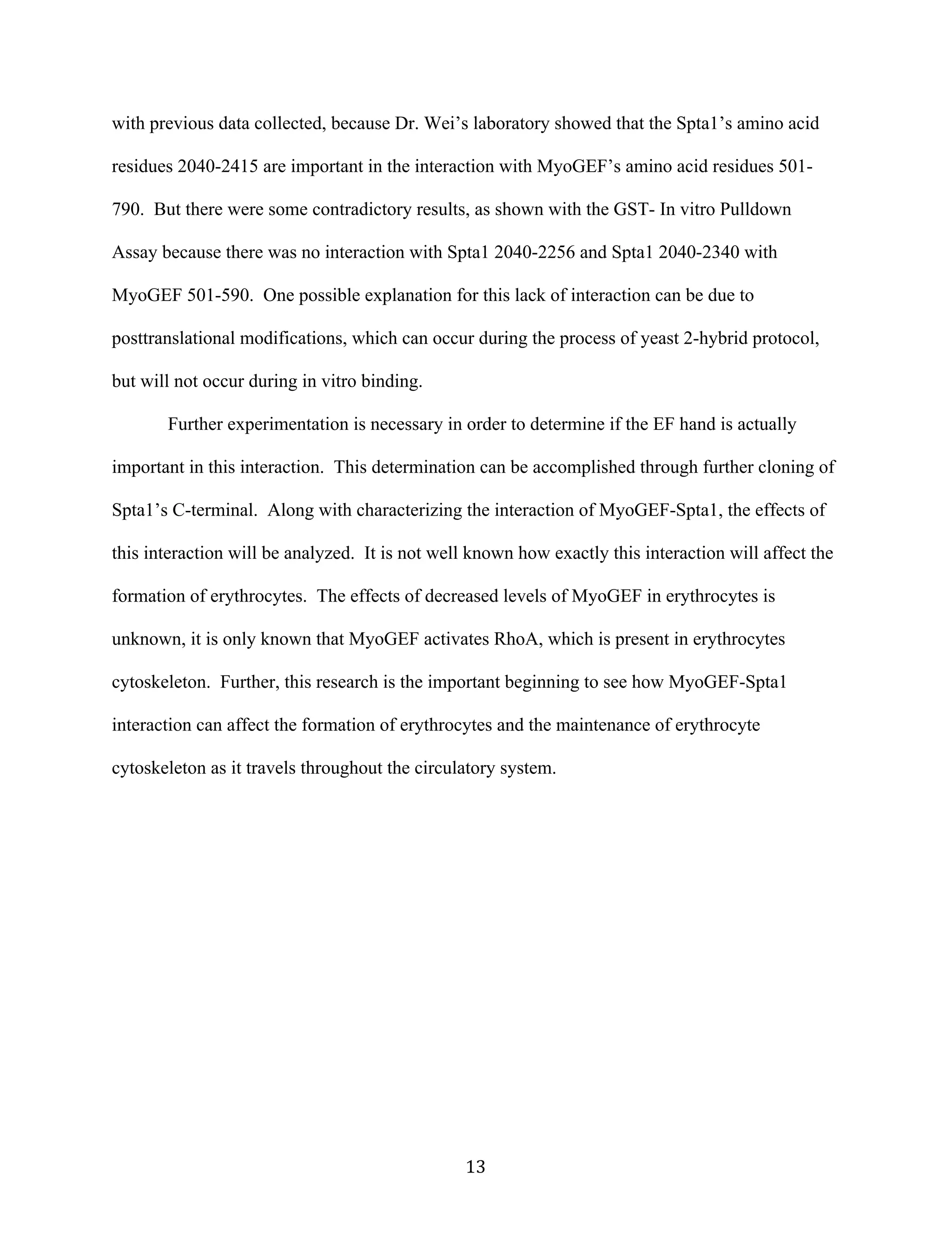   13	
  
with previous data collected, because Dr. Wei’s laboratory showed that the Spta1’s amino acid
residues 2040-2415 are important in the interaction with MyoGEF’s amino acid residues 501-
790. But there were some contradictory results, as shown with the GST- In vitro Pulldown
Assay because there was no interaction with Spta1 2040-2256 and Spta1 2040-2340 with
MyoGEF 501-590. One possible explanation for this lack of interaction can be due to
posttranslational modifications, which can occur during the process of yeast 2-hybrid protocol,
but will not occur during in vitro binding.
Further experimentation is necessary in order to determine if the EF hand is actually
important in this interaction. This determination can be accomplished through further cloning of
Spta1’s C-terminal. Along with characterizing the interaction of MyoGEF-Spta1, the effects of
this interaction will be analyzed. It is not well known how exactly this interaction will affect the
formation of erythrocytes. The effects of decreased levels of MyoGEF in erythrocytes is
unknown, it is only known that MyoGEF activates RhoA, which is present in erythrocytes
cytoskeleton. Further, this research is the important beginning to see how MyoGEF-Spta1
interaction can affect the formation of erythrocytes and the maintenance of erythrocyte
cytoskeleton as it travels throughout the circulatory system.
 