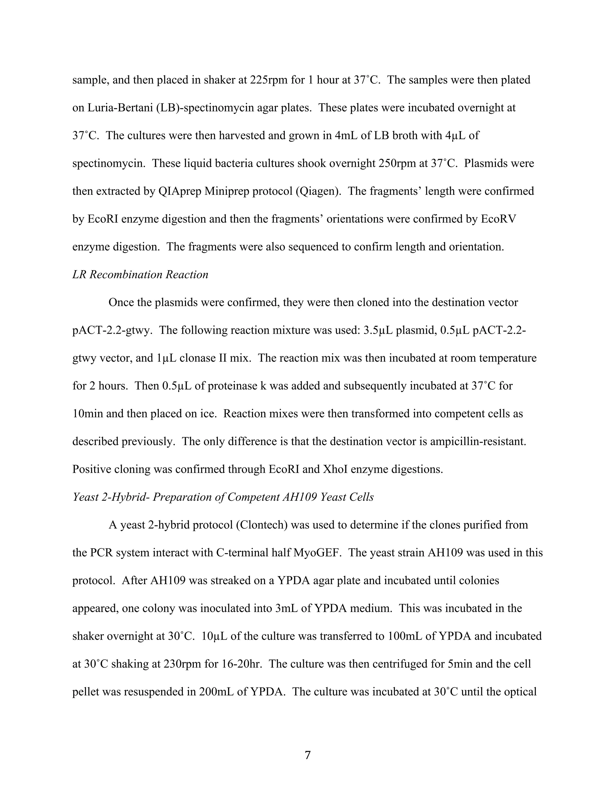   7	
  
sample, and then placed in shaker at 225rpm for 1 hour at 37˚C. The samples were then plated
on Luria-Bertani (LB)-spectinomycin agar plates. These plates were incubated overnight at
37˚C. The cultures were then harvested and grown in 4mL of LB broth with 4µL of
spectinomycin. These liquid bacteria cultures shook overnight 250rpm at 37˚C. Plasmids were
then extracted by QIAprep Miniprep protocol (Qiagen). The fragments’ length were confirmed
by EcoRI enzyme digestion and then the fragments’ orientations were confirmed by EcoRV
enzyme digestion. The fragments were also sequenced to confirm length and orientation.
LR Recombination Reaction
Once the plasmids were confirmed, they were then cloned into the destination vector
pACT-2.2-gtwy. The following reaction mixture was used: 3.5µL plasmid, 0.5µL pACT-2.2-
gtwy vector, and 1µL clonase II mix. The reaction mix was then incubated at room temperature
for 2 hours. Then 0.5µL of proteinase k was added and subsequently incubated at 37˚C for
10min and then placed on ice. Reaction mixes were then transformed into competent cells as
described previously. The only difference is that the destination vector is ampicillin-resistant.
Positive cloning was confirmed through EcoRI and XhoI enzyme digestions.
Yeast 2-Hybrid- Preparation of Competent AH109 Yeast Cells
A yeast 2-hybrid protocol (Clontech) was used to determine if the clones purified from
the PCR system interact with C-terminal half MyoGEF. The yeast strain AH109 was used in this
protocol. After AH109 was streaked on a YPDA agar plate and incubated until colonies
appeared, one colony was inoculated into 3mL of YPDA medium. This was incubated in the
shaker overnight at 30˚C. 10µL of the culture was transferred to 100mL of YPDA and incubated
at 30˚C shaking at 230rpm for 16-20hr. The culture was then centrifuged for 5min and the cell
pellet was resuspended in 200mL of YPDA. The culture was incubated at 30˚C until the optical
 