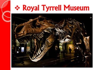 Royal Tyrrell Museum
 