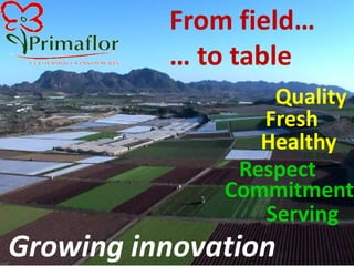 From field…
… to table
Growing innovation
Serving
Quality
Respect
Commitment
Healthy
Fresh
 