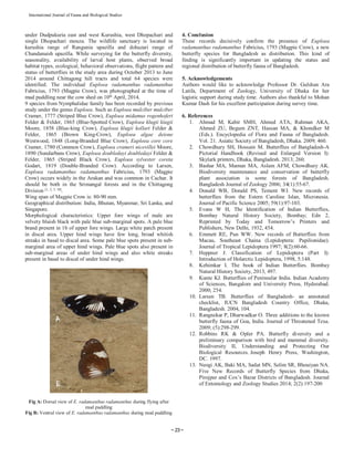~ 23~
International Journal of Fauna and Biological Studies
under Dudpukuria east and west Kurushia, west Dhopachari and
single Dhopachari mouza. The wildlife sanctuary is located in
kurushia range of Rangunia upazilla and dohazari range of
Chandanaish upazilla. While surveying for the butterfly diversity,
seasonality, availability of larval host plants, observed broad
habitat types, ecological, behavioral observations, flight pattern and
status of butterflies in the study area during October 2013 to June
2014 around Chittagong hill tracts and total 64 species were
identified. The individual Euploea radamanthus radamanthus
Fabricius, 1793 (Magpie Crow), was photographed at the time of
mud puddling near the cow shed on 10th
April, 2014.
9 species from Nymphalidae family has been recorded by previous
study under the genus Euploea. Such as Euploea mulciber mulciber
Cramer, 1777 (Striped Blue Crow), Euploea midamus rogenhoferi
Felder & Felder, 1865 (Blue-Spotted Crow), Euploea klugii kiugii
Moore, 1858 (Blue-king Crow), Euploea klugii kollari Felder &
Felder, 1865 (Brown King-Crow), Euploea algae deione
Westwood, 1848 (Long-Branded Blue Crow), Euploea core core
Cramer, 1780 (Common Crow), Euploea crameri nicevillei Moore,
1890 (Sundarbans Crow), Euploea doubledayi doubledayi Felder &
Felder, 1865 (Striped Black Crow), Euploea sylvester coreta
Godart, 1819 (Double-Branded Crow). According to Larsen,
Euploea radamanthus radamanthus Fabricius, 1793 (Magpie
Crow) occurs widely in the Arakan and was common in Cachar. It
should be both in the Srimangal forests and in the Chittagong
Division [1, 2, 3, 10]
.
Wing span of Magpie Crow is: 80-90 mm.
Geographical distribution: India, Bhutan, Myanmar, Sri Lanka, and
Singapore.
Morphological characteristics: Upper fore wings of male are
velvety bluish black with pale blue sub-marginal spots. A pale blue
brand present in 1b of upper fore wings. Large white patch present
in discal area. Upper hind wings have few long, broad whitish
streaks in basal to discal area. Some pale blue spots present in sub-
marginal area of upper hind wings. Pale blue spots also present in
sub-marginal areas of under hind wings and also white streaks
present in basal to discal of under hind wings.
Fig A: Dorsal view of E. radamanthus radamanthus during flying after
mud puddling
Fig B: Ventral view of E. radamanthus radamanthus during mud puddling
4. Conclusion
These records decisively confirm the presence of Euploea
radamanthus radamanthus Fabricius, 1793 (Magpie Crow), a new
butterfly species for Bangladesh as distribution. This kind of
finding is significantly important in updating the status and
regional distribution of butterfly fauna of Bangladesh.
5. Acknowledgements
Authors would like to acknowledge Professor Dr. Gulshan Ara
Latifa, Department of Zoology, University of Dhaka for her
logistic support during study time. Authors also thankful to Mohan
Kumar Dash for his excellent participation during survey time.
6. References
1. Ahmad M, Kabir SMH, Ahmed ATA, Rahman AKA,
Ahmed ZU, Begum ZNT, Hassan MA, & Khondker M
(Eds.). Encyclopedia of Flora and Fauna of Bangladesh.
Vol. 21. Asiatic Society of Bangladesh, Dhaka. 2009; 460.
2. Chowdhury SH, Hossain M. Butterflies of Bangladesh-A
Pictorial Handbook (Revised and Enlarged Version I):
Skylark printers, Dhaka, Bangladesh. 2013; 260.
3. Bashar MA, Mamun MA, Aslam AFM, Chowdhury AK.
Biodiversity maintenance and conservation of butterfly
plant association is some forests of Bangladesh.
Bangladesh Journal of Zoology 2006; 34(1):55-67.
4. Donald WB, Donald PS, Tement WJ. New records of
butterflies from the Estern Caroline Islan, Micronesia.
Journal of Pacific Science 2005; 59(1):97-103.
5. Evans W H, The Identification of Indian Butterflies,
Bombay Natural History Society, Bombay; Edn 2,
Reprinted by Today and Tomorrow’s Printers and
Publishers, New Delhi, 1932, 454.
6. Emmett RE, Pun WW. New records of Butterflies from
Macau, Southeast Chaina (Lepidoptera: Papilionidae).
Journal of Tropical Lepidoptera 1997; 8(2):60-66.
7. Heppner J. Classification of Lepidoptera (Part I):
Introduction of Holarctic Lepidoptera, 1998, 5:148.
8. Kehimkar I. The book of Indian Butterflies. Bombay
Natural History Society, 2013, 497.
9. Kunte KJ. Butterflies of Peninsular India. Indian Academy
of Sciences, Bangalore and University Press, Hyderabad.
2000; 254.
10. Larsen TB. Butterflies of Bangladesh- an annotated
checklist, IUCN Bangladesh Country Office, Dhaka,
Bangladesh. 2004, 104.
11. Rangnekar P, Dharwadkar O. Three additions to the known
butterfly fauna of Goa, India. Journal of Threatened Texa.
2009; (5):298-299.
12. Robbins RK & Opler PA. Butterfly diversity and a
preliminary comparison with bird and mammal diversity.
Biodiversity II, Understanding and Protecting Our
Biological Resources. Joseph Henry Press, Washington,
DC. 1997.
13. Neogi AK, Baki MA, Sadat MN, Selim SR, Bhouiyan NA.
Five New Records of Butterfly Species from Dhaka,
Pirojpur and Cox’s Bazar Districts of Bangladesh. Journal
of Entomology and Zoology Studies 2014; 2(2):197-200
 