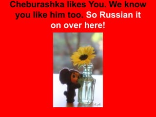Cheburashka likes You. We know
you like him too. So Russian it
on over here!
 
