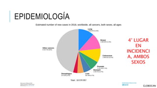 EPIDEMIOLOGÍA
4° LUGAR
EN
INCIDENCI
A, AMBOS
SEXOS
GLOBOCAN
 