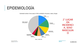 EPIDEMIOLOGÍA
2° LUGAR
EN
INCIDENCI
A, SEXO
MASCULIN
O
GLOBOCAN
 
