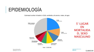 EPIDEMIOLOGÍA
5° LUGAR
EN
MORTALIDA
D, SEXO
MASCULINO
GLOBOCAN
 
