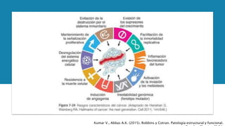 Kumar V., Abbas A.K. (2015). Robbins y Cotran. Patología estructural y funcional.
 