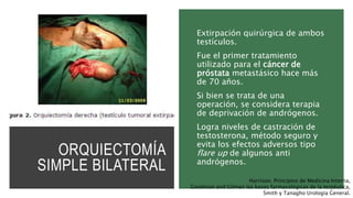 ORQUIECTOMÍA
SIMPLE BILATERAL
Extirpación quirúrgica de ambos
testículos.
Fue el primer tratamiento
utilizado para el cáncer de
próstata metastásico hace más
de 70 años.
Si bien se trata de una
operación, se considera terapia
de deprivación de andrógenos.
Logra niveles de castración de
testosterona, método seguro y
evita los efectos adversos tipo
flare up de algunos anti
andrógenos.
Harrison. Principios de Medicina Interna,
Goodman and Gilman las bases farmacológicas de la terpéutica,
Smith y Tanagho Urología General.
 