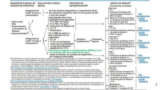 RECOMENDACIONES DE MANEJO
SEGÚN LA NCCN PARA
LATINOAMERICA 2017
1
 