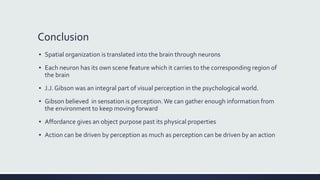 Conclusion
▪ Spatial organization is translated into the brain through neurons
▪ Each neuron has its own scene feature which it carries to the corresponding region of
the brain
▪ J.J.Gibson was an integral part of visual perception in the psychological world.
▪ Gibson believed in sensation is perception.We can gather enough information from
the environment to keep moving forward
▪ Affordance gives an object purpose past its physical properties
▪ Action can be driven by perception as much as perception can be driven by an action
 
