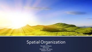 Spatial Organization
Nicole A Masio
PSY/345
October 19, 2015
Robert Levit
 