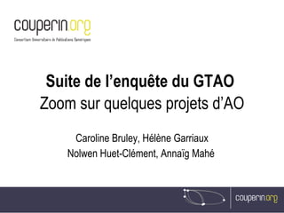 Suite de l’enquête du GTAO  Zoom sur quelques projets d’AO Caroline Bruley, Hélène Garriaux Nolwen Huet-Clément, Annaïg Mahé   