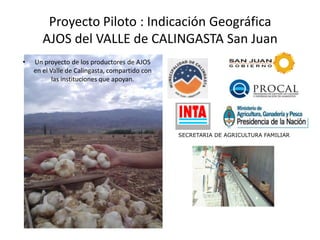 Proyecto Piloto : Indicación Geográfica
AJOS del VALLE de CALINGASTA San Juan
• Un proyecto de los productores de AJOS
en el Valle de Calingasta, compartido con
las instituciones que apoyan.
SECRETARIA DE AGRICULTURA FAMILIAR
 