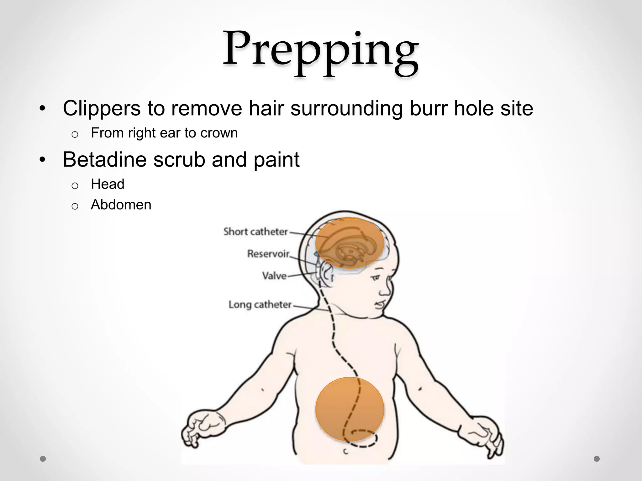 Prepping
• Clippers to remove hair surrounding burr hole site
o From right ear to crown
• Betadine scrub and paint
o Head
o Abdomen
 