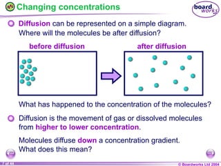 9C_Chapter 3_Movement into and out of cells.pdf