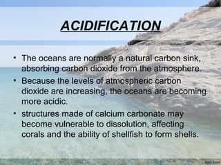 marine pollution state of indian ocean - Copy | PPT
