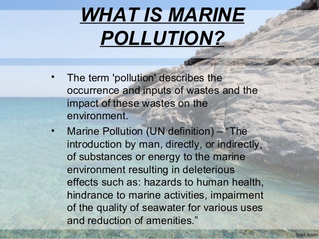 thesis statement about marine pollution