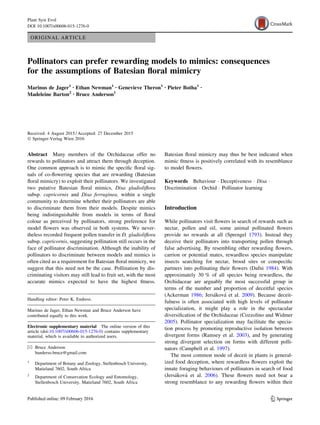 ORIGINAL ARTICLE
Pollinators can prefer rewarding models to mimics: consequences
for the assumptions of Batesian ﬂoral mimicry
Marinus de Jager1 • Ethan Newman1 • Genevieve Theron1 • Pieter Botha1 •
Madeleine Barton2 • Bruce Anderson1
Received: 4 August 2015 / Accepted: 27 December 2015
Ó Springer-Verlag Wien 2016
Abstract Many members of the Orchidaceae offer no
rewards to pollinators and attract them through deception.
One common approach is to mimic the speciﬁc ﬂoral sig-
nals of co-ﬂowering species that are rewarding (Batesian
ﬂoral mimicry) to exploit their pollinators. We investigated
two putative Batesian ﬂoral mimics, Disa gladioliﬂora
subsp. capricornis and Disa ferruginea, within a single
community to determine whether their pollinators are able
to discriminate them from their models. Despite mimics
being indistinguishable from models in terms of ﬂoral
colour as perceived by pollinators, strong preference for
model ﬂowers was observed in both systems. We never-
theless recorded frequent pollen transfer in D. gladioliﬂora
subsp. capricornis, suggesting pollination still occurs in the
face of pollinator discrimination. Although the inability of
pollinators to discriminate between models and mimics is
often cited as a requirement for Batesian ﬂoral mimicry, we
suggest that this need not be the case. Pollination by dis-
criminating visitors may still lead to fruit set, with the most
accurate mimics expected to have the highest ﬁtness.
Batesian ﬂoral mimicry may thus be best indicated when
mimic ﬁtness is positively correlated with its resemblance
to model ﬂowers.
Keywords Behaviour Á Deceptiveness Á Disa Á
Discrimination Á Orchid Á Pollinator learning
Introduction
While pollinators visit ﬂowers in search of rewards such as
nectar, pollen and oil, some animal pollinated ﬂowers
provide no rewards at all (Sprengel 1793). Instead they
deceive their pollinators into transporting pollen through
false advertising. By resembling other rewarding ﬂowers,
carrion or potential mates, rewardless species manipulate
insects searching for nectar, brood sites or conspeciﬁc
partners into pollinating their ﬂowers (Dafni 1984). With
approximately 30 % of all species being rewardless, the
Orchidaceae are arguably the most successful group in
terms of the number and proportion of deceitful species
(Ackerman 1986; Jersa´kova´ et al. 2009). Because deceit-
fulness is often associated with high levels of pollinator
specialization, it might play a role in the spectacular
diversiﬁcation of the Orchidaceae (Cozzolino and Widmer
2005). Pollinator specialization may facilitate the specia-
tion process by promoting reproductive isolation between
divergent forms (Ramsey et al. 2003), and by generating
strong divergent selection on forms with different polli-
nators (Campbell et al. 1997).
The most common mode of deceit in plants is general-
ized food deception, where rewardless ﬂowers exploit the
innate foraging behaviours of pollinators in search of food
(Jersa´kova´ et al. 2006). These ﬂowers need not bear a
strong resemblance to any rewarding ﬂowers within their
Handling editor: Peter K. Endress.
Marinus de Jager, Ethan Newman and Bruce Anderson have
contributed equally to this work.
Electronic supplementary material The online version of this
article (doi:10.1007/s00606-015-1276-0) contains supplementary
material, which is available to authorized users.
& Bruce Anderson
banderso.bruce@gmail.com
1
Department of Botany and Zoology, Stellenbosch University,
Matieland 7602, South Africa
2
Department of Conservation Ecology and Entomology,
Stellenbosch University, Matieland 7602, South Africa
123
Plant Syst Evol
DOI 10.1007/s00606-015-1276-0
 