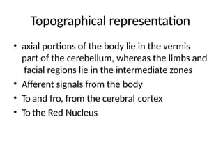 Topographical representation
• axial portions of the body lie in the vermis
part of the cerebellum, whereas the limbs and
facial regions lie in the intermediate zones
• Afferent signals from the body
• To and fro, from the cerebral cortex
• To the Red Nucleus
 